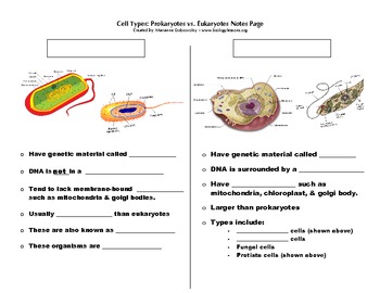 Difference between prokaryotic and eukaryotic cell ppt